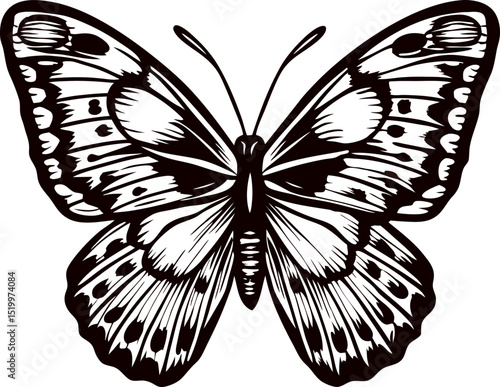 Intricate monochrome butterfly illustration with detailed wings and symmetrical patterns