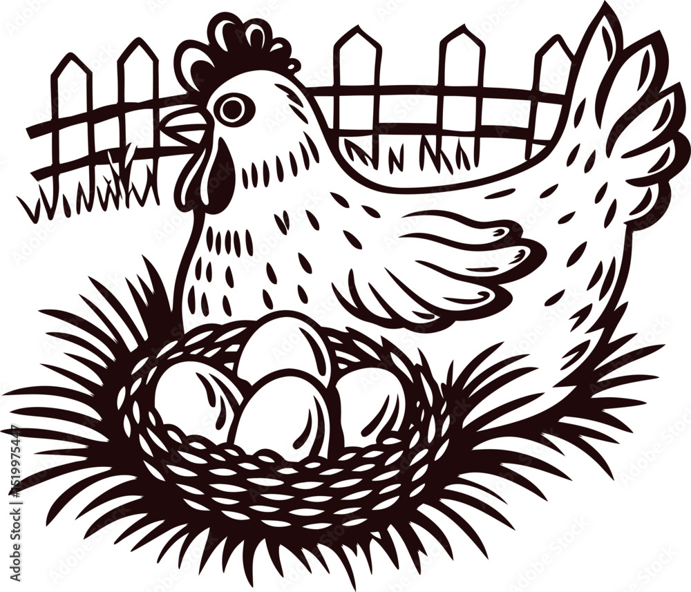 Fototapeta premium Hen in farmyard nesting eggs in rustic surroundings