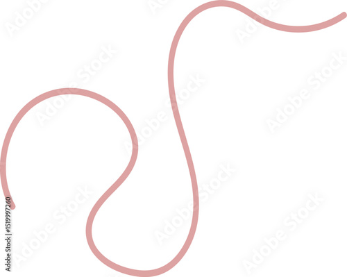 Intestinal Parasitic Worm