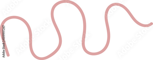 Intestinal Parasitic Worm