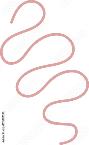 Intestinal Parasitic Worm