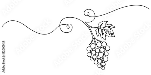 Continuous one line drawing of a bunch of grapes,  representing elegance and natural sweetness, line art style vector illustration, Bunch of grapes. Minimalist line drawing, one continuous line, pro.