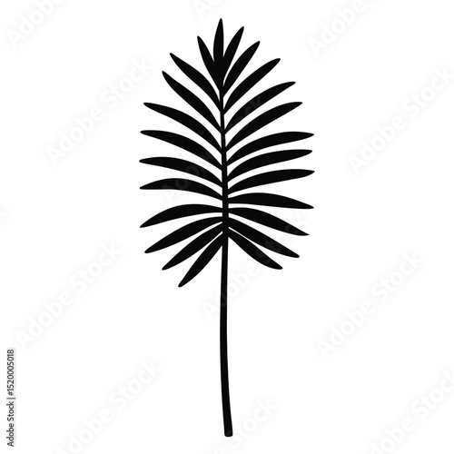 Silhouetted Tropical Palm Frond Illustration Detailed Black and White Design Element