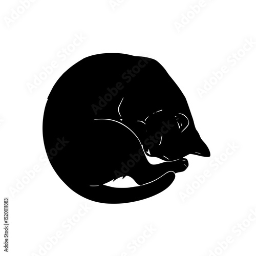 vector illustration of a silhouette of a lion
