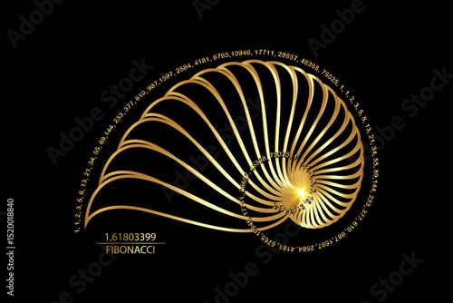 Fibonacci Sequence Golden ratio. Geometric shapes spiral. Snail spiral. Sea shell of gold circles. Sacred geometry logo template. Vector isolated on black background
