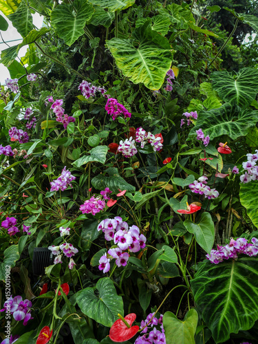 Wallpaper Mural Lush green ainforest plants with purple and red tropical flowers as background.  Torontodigital.ca