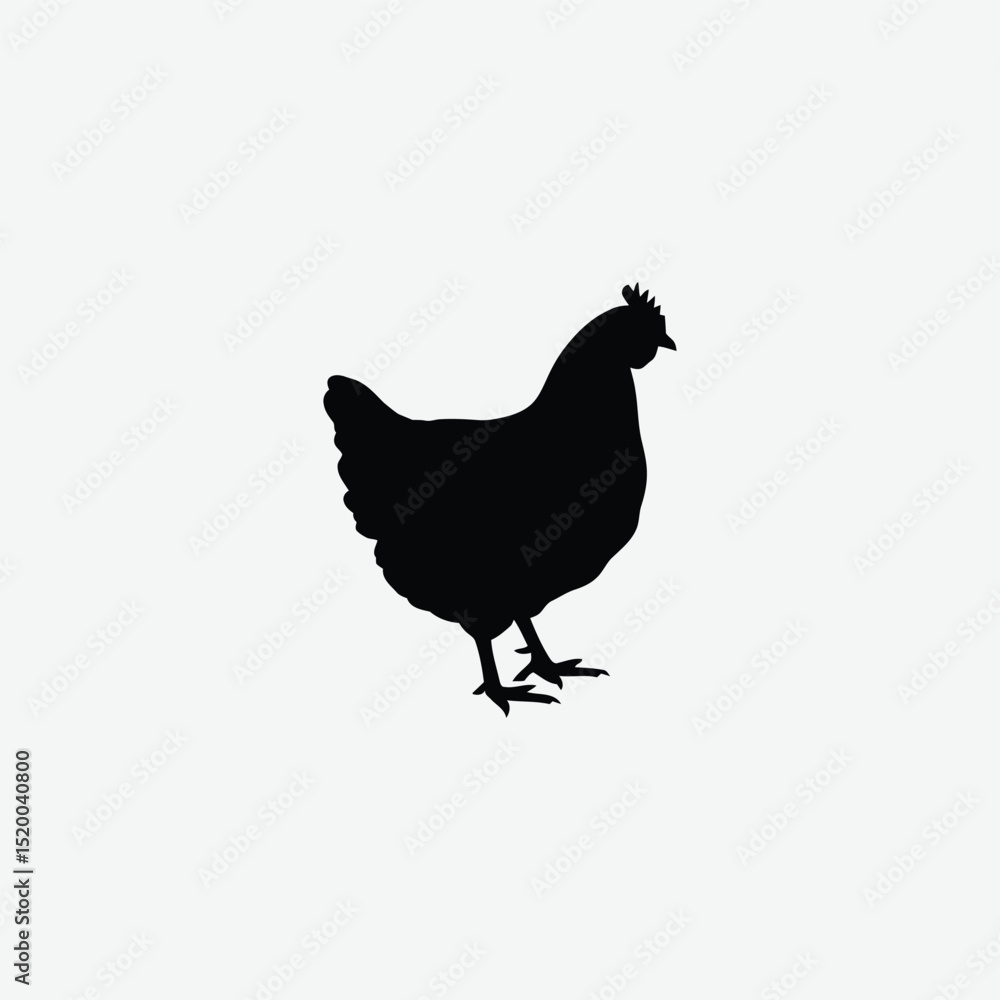 Fototapeta premium Download a high-resolution chicken vector graphic perfect for farm-themed designs, t-shirt prints, educational materials, and digital art.