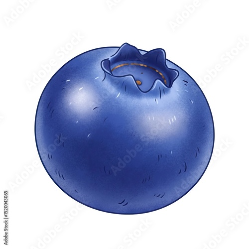 Blueberry  white Background.