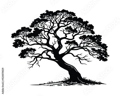 Black Silhouette of a Majestic Leaning Tree