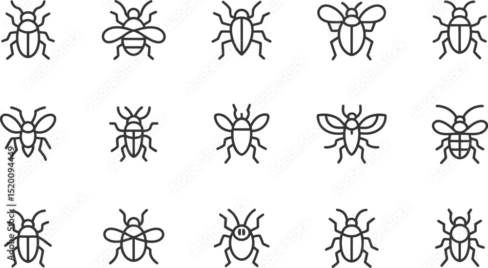 Fifteen insect icons arranged in rows, showing various beetle and bee line art on a white background Fifteen insect icons arranged in rows, showing various beetle and bee line art on a white background