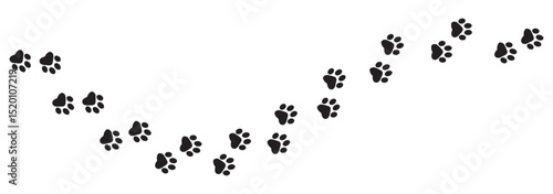 Paw print of a dog or cat. Footprint pet. Black lines animal prints isolated on white background. Tiger paws. Cute canine pattern. Puppy track. Feline step outline. Kitten leg. Vector illustration