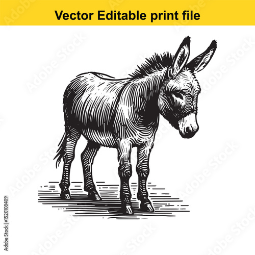 A vector illustration of a donkey, a farm animal, in black and white, with editable print file