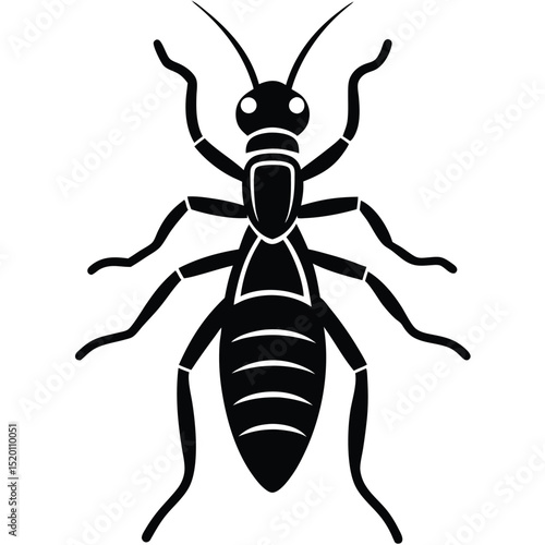 termite white background