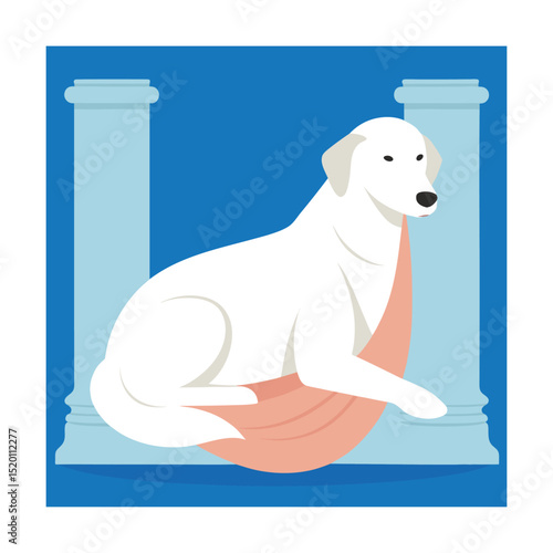 dog in the water