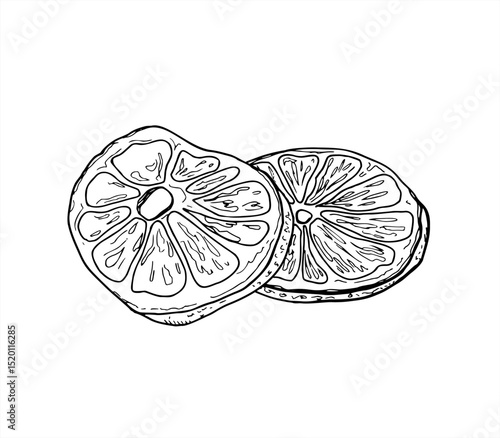 Two stacked dried orange slices vector illustration painted by black inks. Etching drawing of citrus fruit wedges for Christmas decorations, winter holiday packaging, festive drink menus