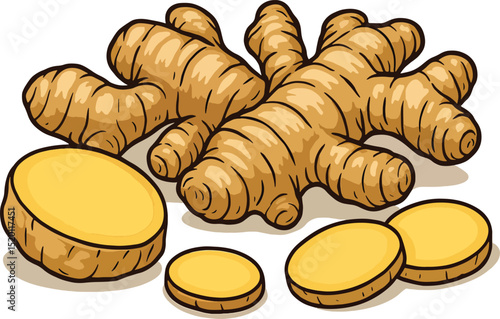 Fresh Ginger Root and Slices Illustration