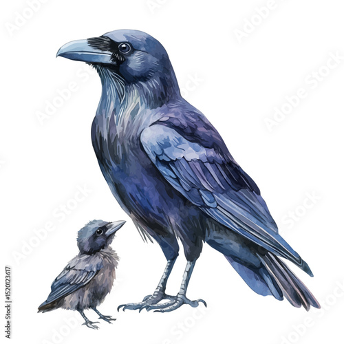 A Mother Raven With Her Kid, watercolor vector, high quality, isolated on a white background.