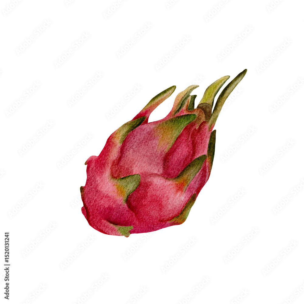 Fototapeta premium Watercolor illustration of cinnamon roll with icing on white background. Hand-painted sweet pastry, perfect for bakery designs, autumn food projects, cafe menus, and cozy kitchen prints.
