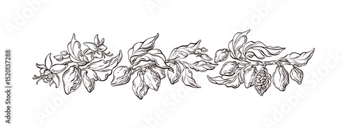 Cocoa hand drawn art. Vector line border Chocolate