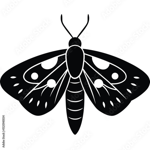 Moth Cartoon Style Artwork