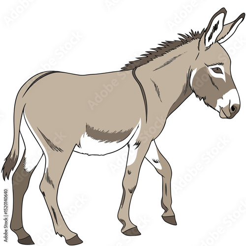 Adobe Illustrator Artwork