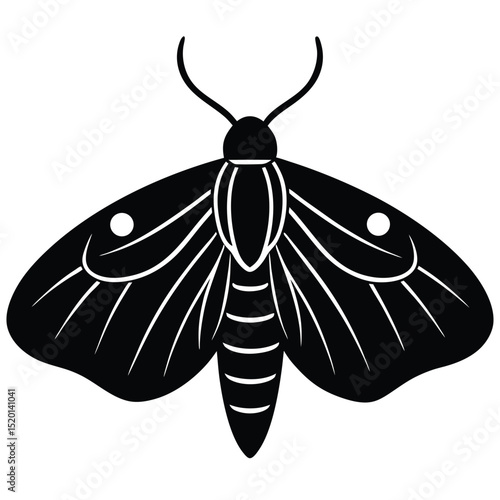 Moth Butterfly Realistic Art