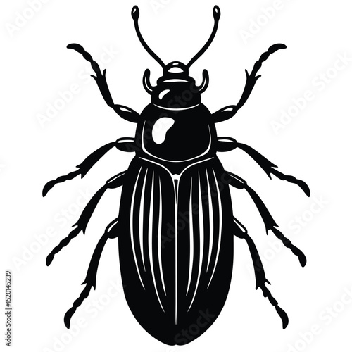 June Bug Isolated Illustration