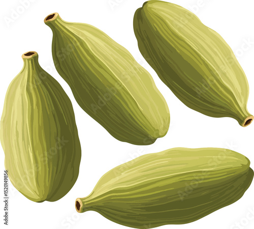 green and yellow squash