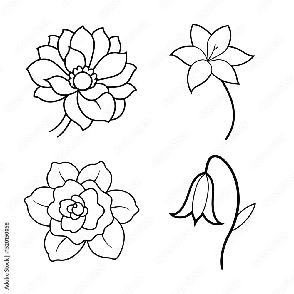 Fototapeta premium line art flower bundle design