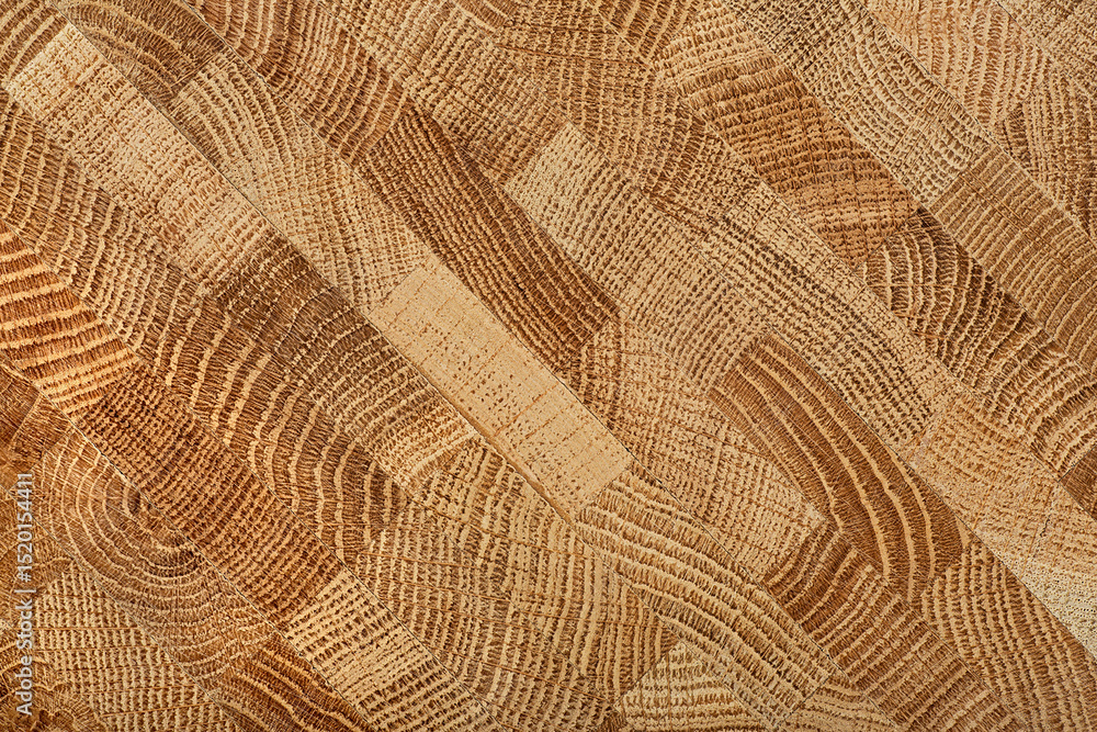 Obraz premium Oak wooden board as background, top view. Cross section of tree trunk. Natural durable end grain hard wood cutting board.
