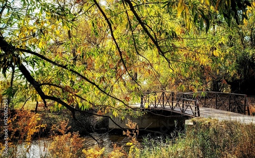 Autumn Walk - River Bridge with Trees in Fort Collins, Colorado, Poudre River Trail