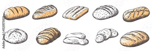 Hand drawn sketch assorted bread loafs set including baguette sourdough ciabatta rolls and rustic buns vintage bakery food illustration in flat style