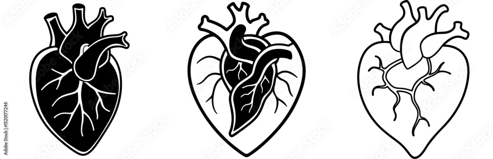 Obraz premium Vector anatomical heart icon set, detailed heart illustrations, medical and artistic design
