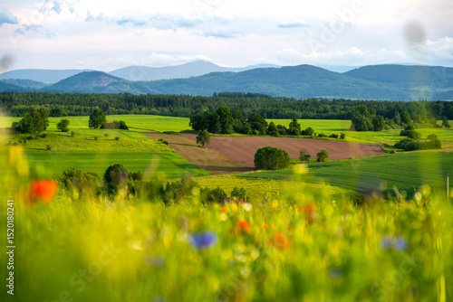 Fototapeta Naklejka Na Ścianę i Meble -  view on Kaczawskie mountains during summer evening in Lower Silesia region in Poland
