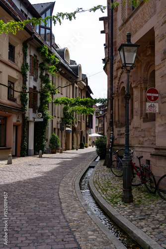 Cobblestone Street with Bächle and Ivy-Clad Buildings in Freiburg