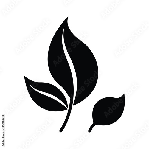 black and white leaf