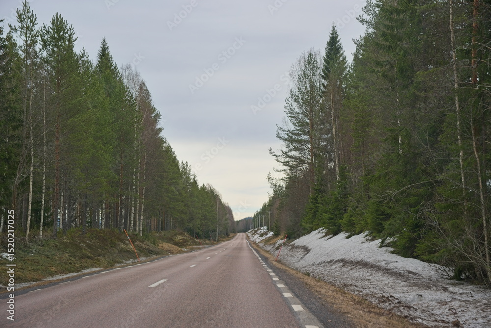 Naklejka premium road in the mountains