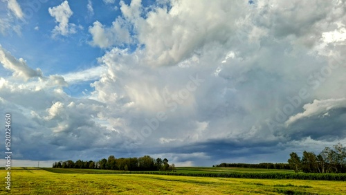 green field and blue sky