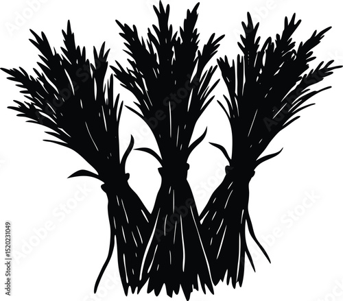 dried grass bundles silhouette, autumn grass arrangement silhouette