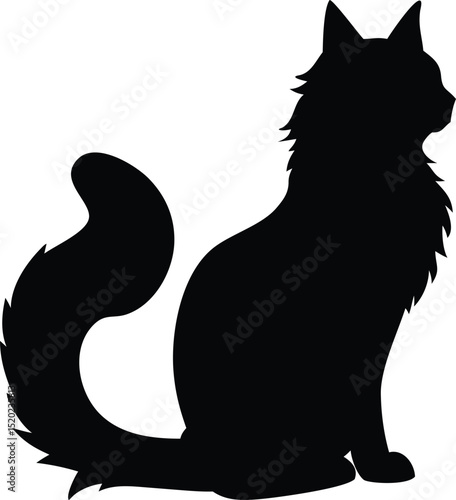 Majestic Maine Coon Cat Silhouette Elegant Longhair Feline Sitting with Fluffy Tail - Vector Illustration