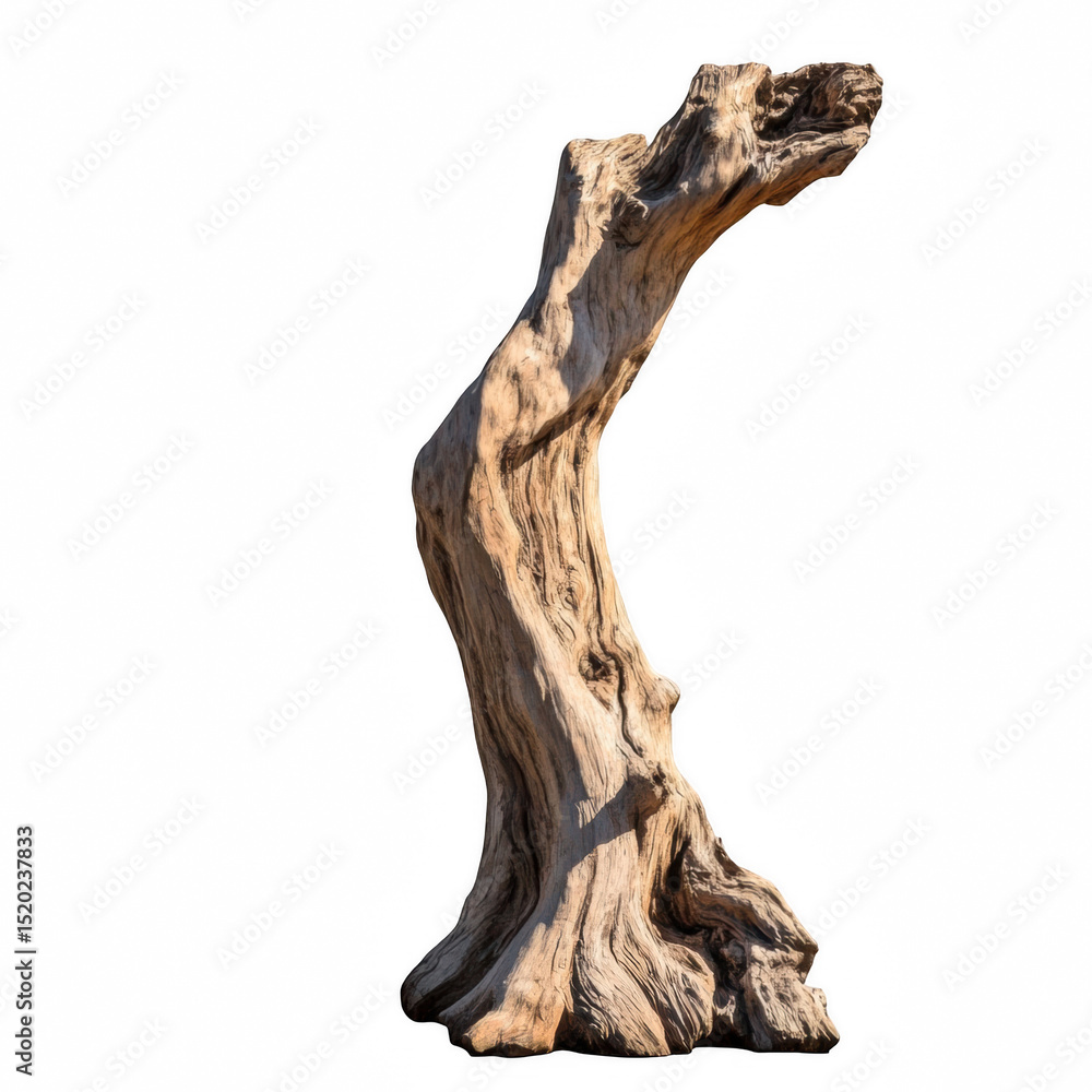 Obraz premium Abstract Shadow Wood Stand for Modern Products.
