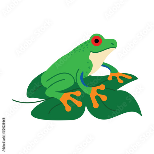 Green tree frog with red eyes sitting on tropical leaf. Exotic rainforest amphibian animal in flat vector style. Isolated on white background. Great for jungle and nature design.