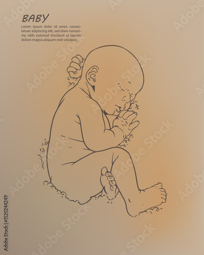 Curled baby character illustration template