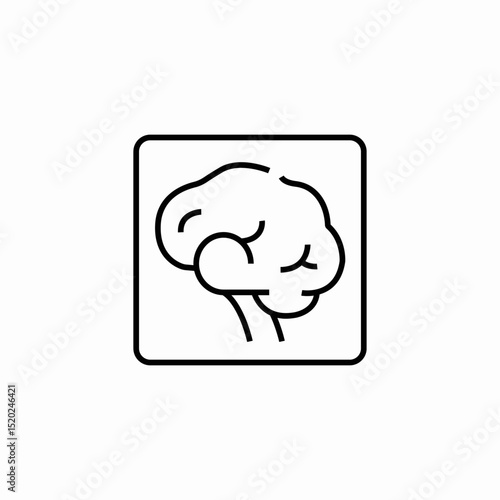 brain scan icon sign vector