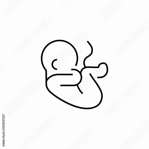 fetus baby icon sign vector
