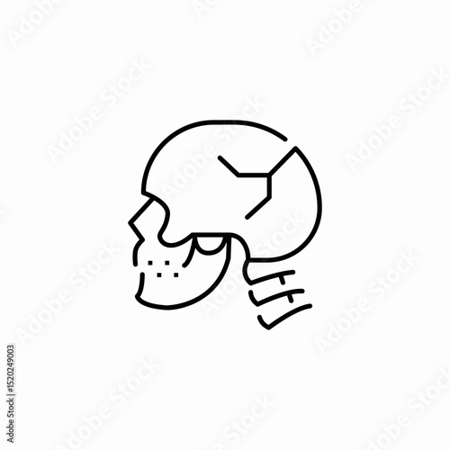 skull fractured head icon sign vector