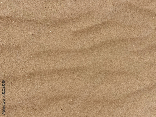 Wind-Sculpted Sand Ripples Texture Close-Up from Dutch Coastal Dunes, Background