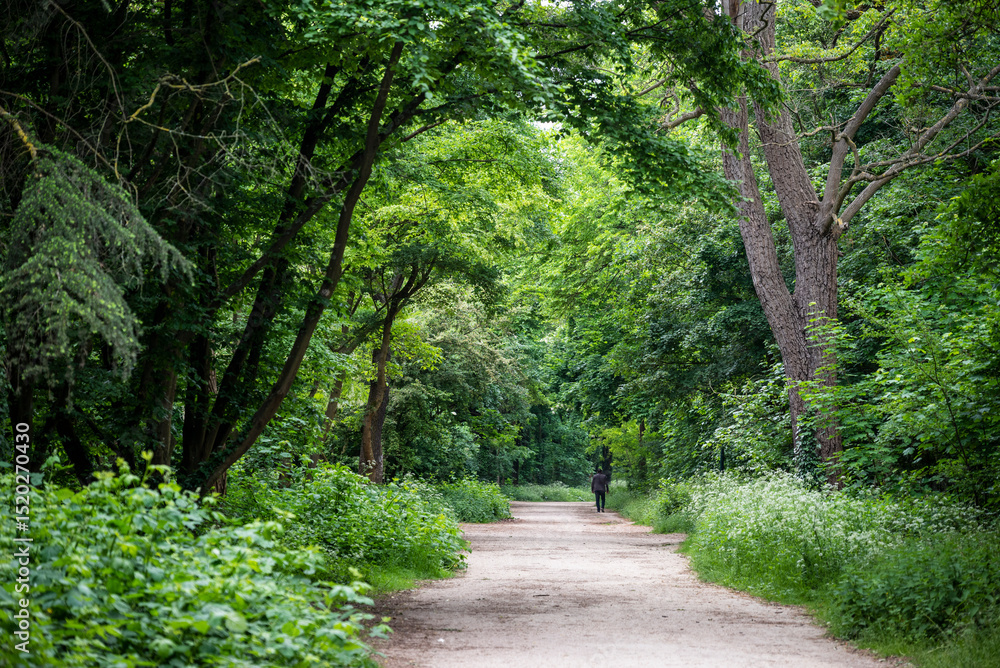 Fototapeta premium Bois de Boulogne, a public park in Paris, France