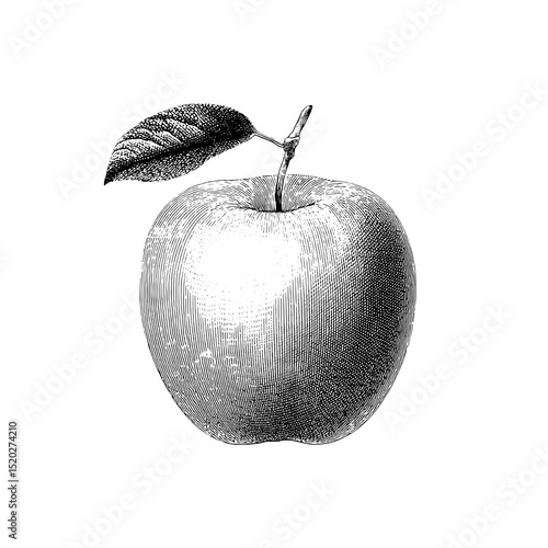 Detailed vintage apple emblem crafted through engraved illustration showcasing nature's beauty and artistic design excellence