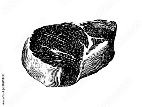 Vintage engraved illustration of a premium cut of meat showcasing intricate details and artistic style for design enthusiasts